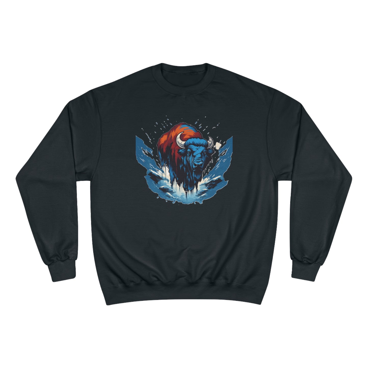 Champion Sweatshirt