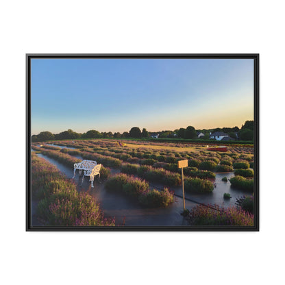 Lavender Fields, Wickham Farms, Matte Canvas, Black Frame