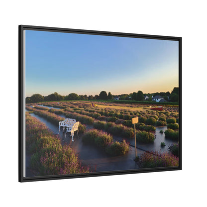 Lavender Fields, Wickham Farms, Matte Canvas, Black Frame