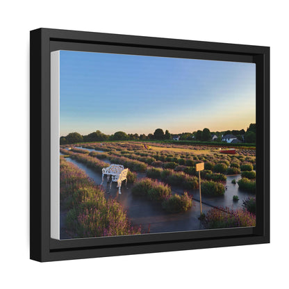 Lavender Fields, Wickham Farms, Matte Canvas, Black Frame