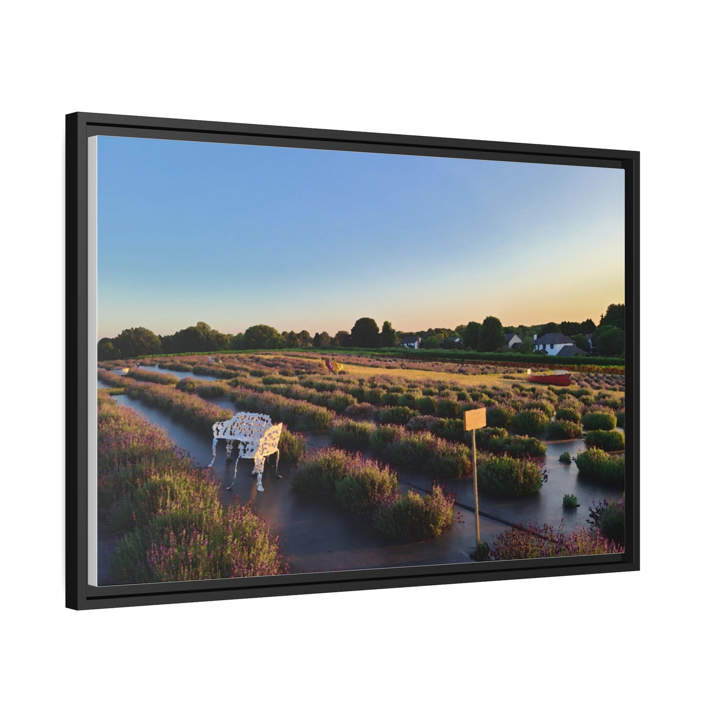 Lavender Fields, Wickham Farms, Matte Canvas, Black Frame