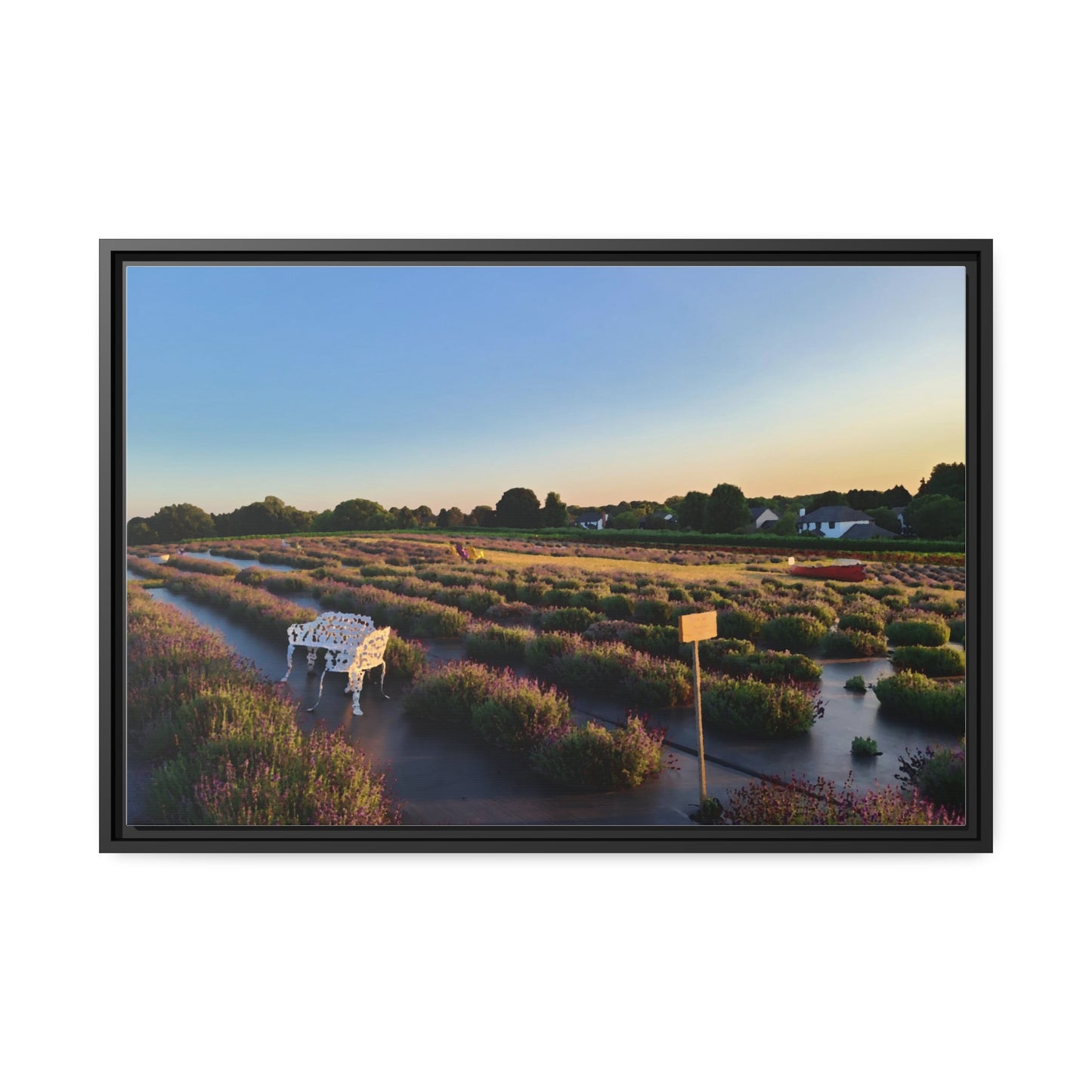 Lavender Fields, Wickham Farms, Matte Canvas, Black Frame