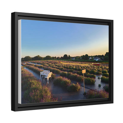 Lavender Fields, Wickham Farms, Matte Canvas, Black Frame