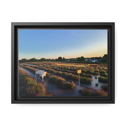 Lavender Fields, Wickham Farms, Matte Canvas, Black Frame